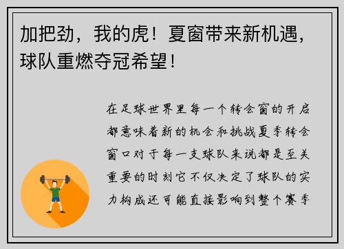 加把劲，我的虎！夏窗带来新机遇，球队重燃夺冠希望！